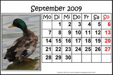 9-September-2009-quer.jpg